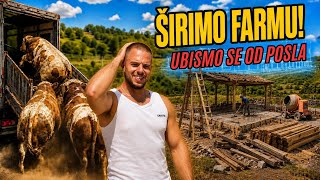HAOS NA FARMI! Utovar Bikova I Početak Izgradnje Nove Farme I Veliki Planovi