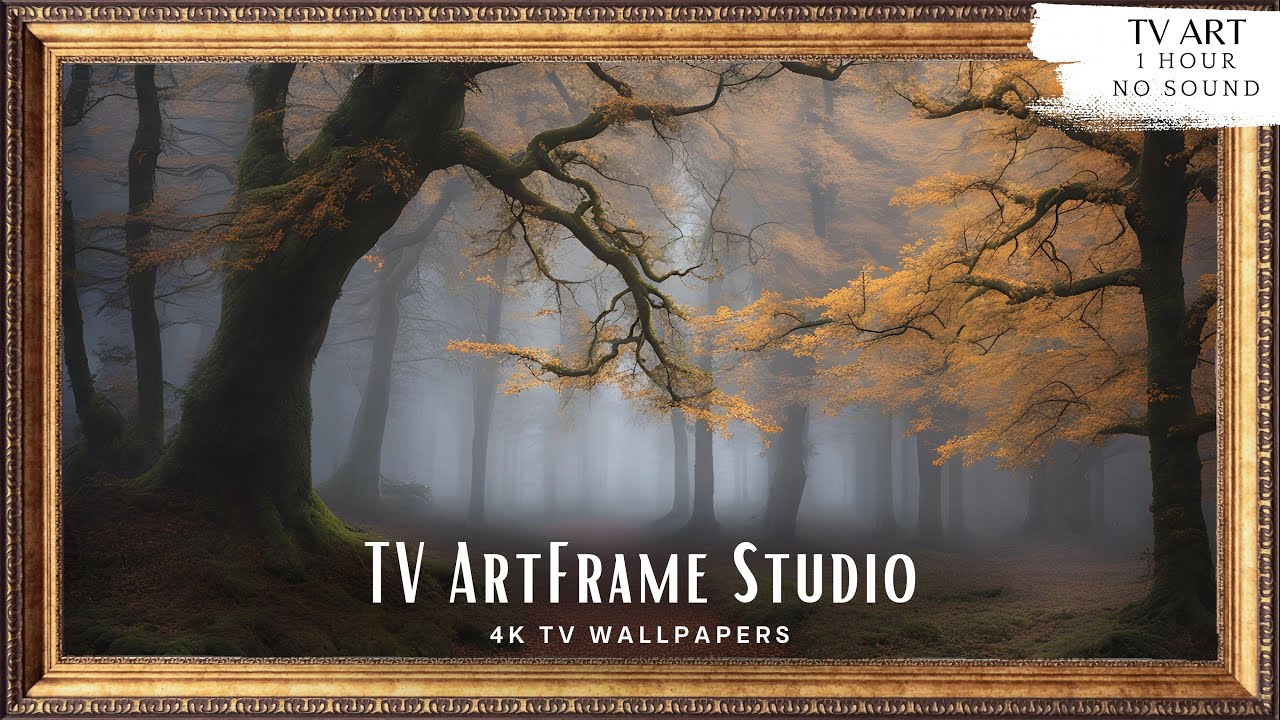 4K Frame TV Art Misty Autumn Forest Landscape | Autumn Colors | Fall Decor | TV Wallpaper