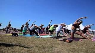 Wild Vibes 2016 By Seacoast Flash