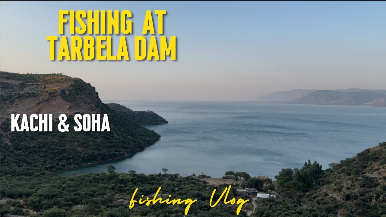 Fishing at Tarbela Dam | Soha and Kachi Tarbela Dam | Tarbela Fishing Update | Usamas Adventures
