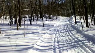 Xc ski on Mont-Royal, Montreal, QC - Ski de fond