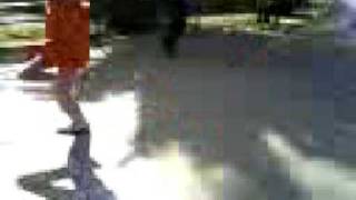 Vdeo 0017