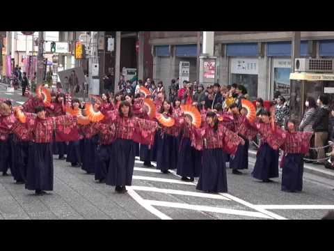 2016　山口県立大学よさこい部　奄美連合萩組　Yosakoiぶち楽市民祭　練り歩き会場