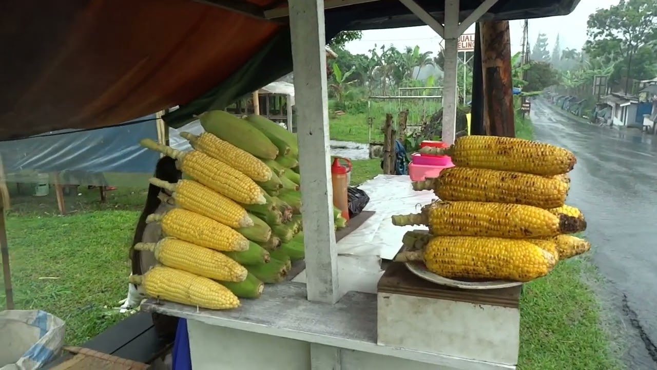 اندونيسيا/ الجبل الأخضر منطقة بنشاك تصوير [ HD ] في تاريخ 2022/10/6 :