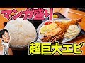 【大食い】超巨大なエビフライと巨大マンガ盛ご飯でデブ確定！【デカ盛り】【赤丸食堂】