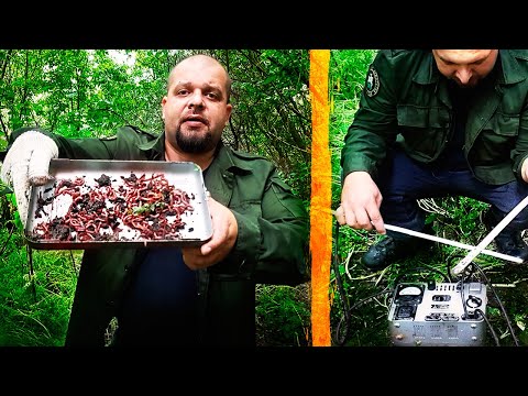 Добываем червей для