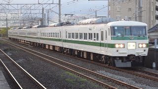 185系 C1編成 団臨「ケージレス列車 『わんだフル TRAIN』 愛犬と伊豆高原満喫の旅」 鴨宮駅通過