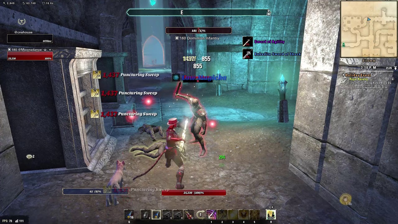 ESO Jesters Festival 2018 Royal Revelry