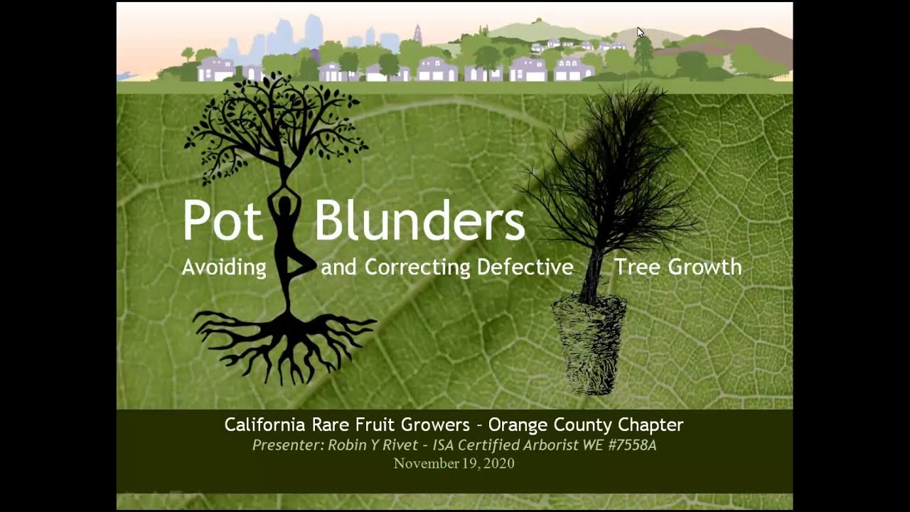 Pot Blunders with Robin Rivet - YouTube