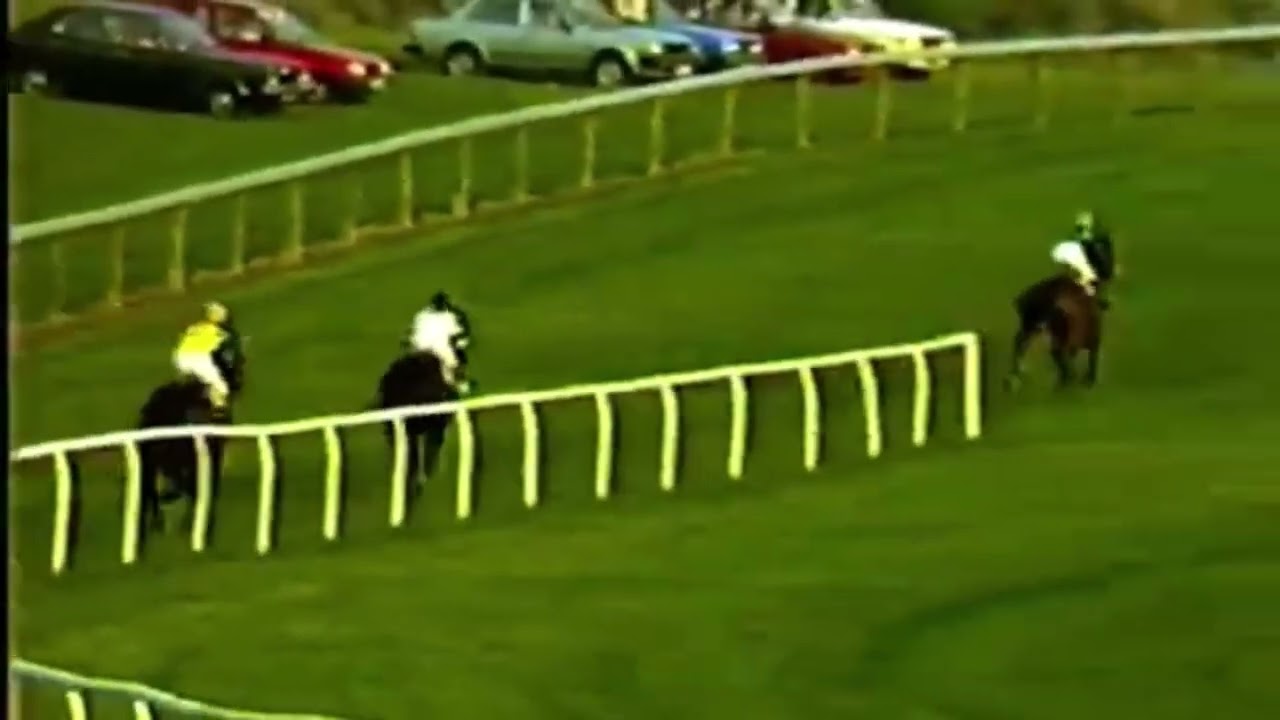 3rd October 1986 5pm Grunwick Stakes National Hunt Flat Race 4 5 & 6yo Hereford Racecourse RTS Video