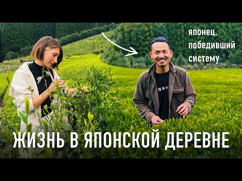 видео: ЖИЗНЬ В ДЕРЕВНЕ В ЯПОНИИ! Один день на чайной плантации