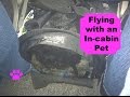 How to: Flying with an In-cabin Pet