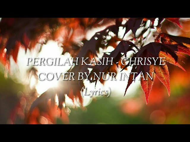 Download Lagu Pergilah Kasih Cover Nur Intan Penggambar