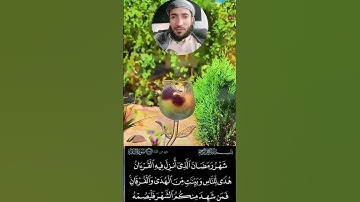 #أية من سورة البقرة_ محمد الفقيه@فيديو