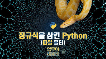 정규식을삼킨 파이썬(파일 필터)