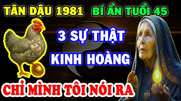 Cảnh Báo Quan Trọng Tân Dậu 1981 Từ 46 Tuổi 3 Sự Thật Kinh Hoàng Chỉ Mình Tôi Dám Nói