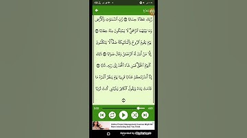 #قرآن كريم - سوره النبأ ( الشيخ سعد الغامدي ) الآيات 38 - 39 - 40 ( 78 )