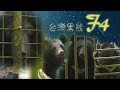 獨立特派員 第547集 (台灣黑熊F4)