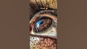 Macro photography with adcom mobile lens #adcomindia #adcomlens #mobilephotography