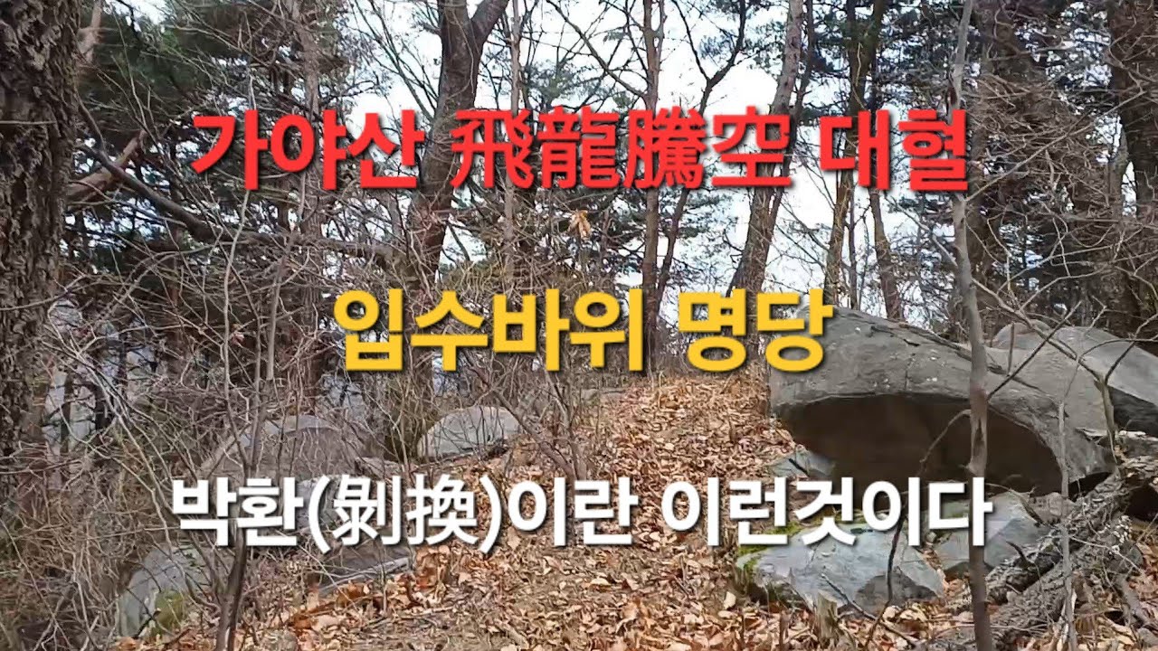 (상담:010-8576-3554 인산)성주 가야산 자락의 비룡등공(飛龍騰空) 명당을 찾아가 봅니다..살기를 털어내고 박환된 입수처의 바위가 만들어낸 대혈의 모습을 살펴보고..