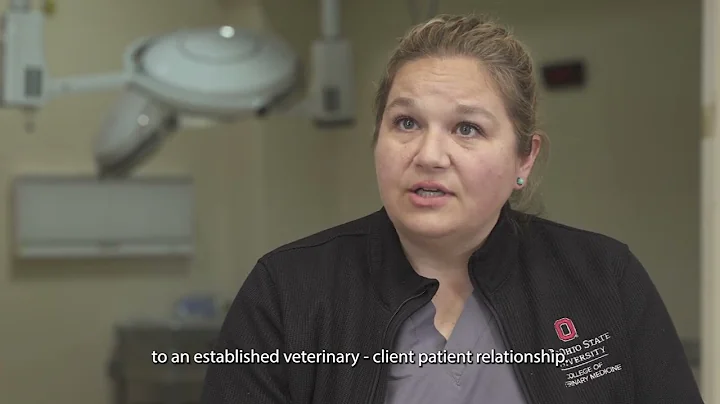 Guiding principles: antimicrobial stewardship in equine medicine