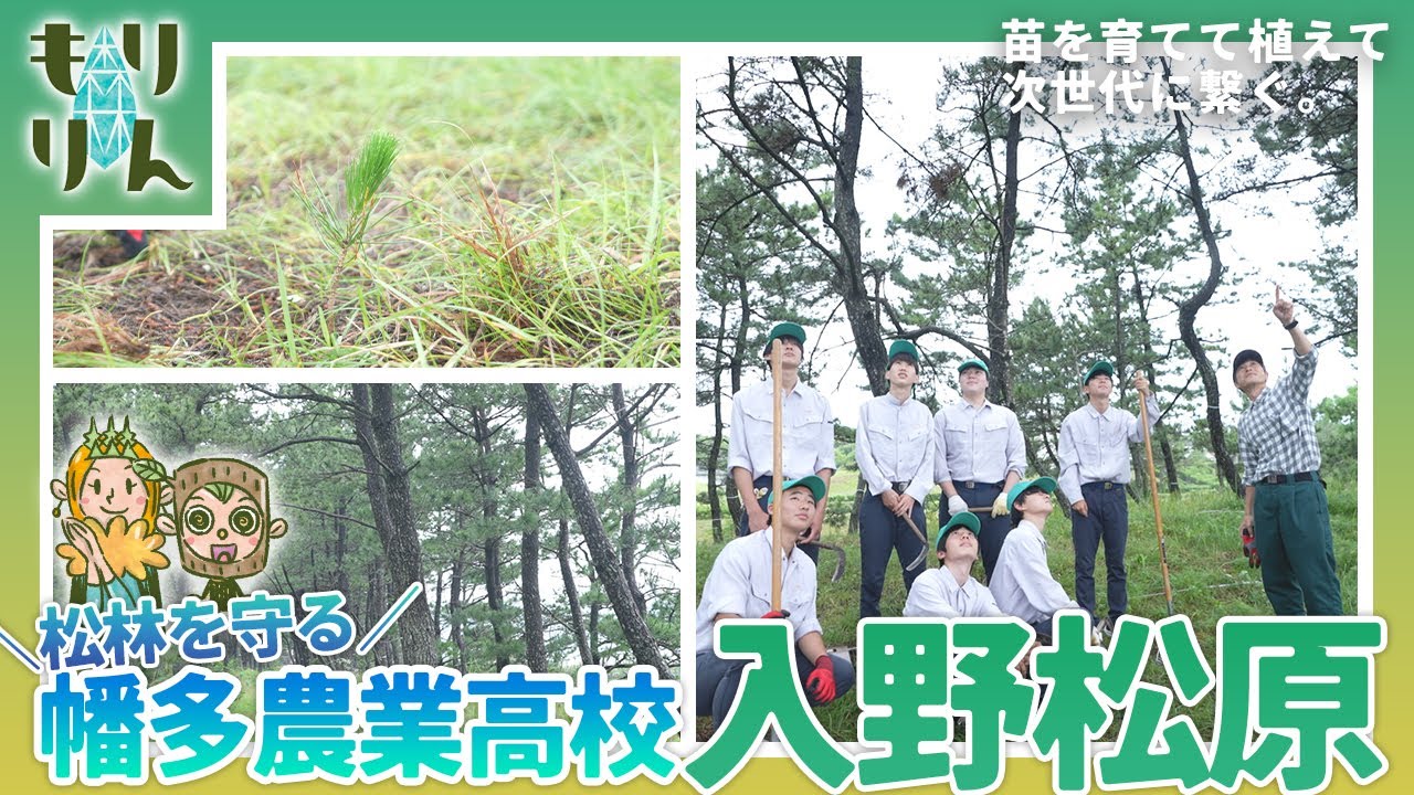 森林環境情報誌「もりりんno.14」 | 高知県