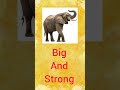 for Elephant 🐘 | ABC for Kids | Tiny Genius