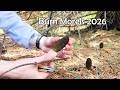 Spot Prawn Stuffed Morels 2026 | Gourmet Forage & Cook