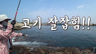 [다리tv] 퐝!!! 민장대 낚시 시작합니다!!! 바글바글!!!