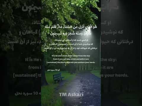 Short Shorts Islam Quran Islamic Makkah Afghanistan افغانستان Allah Muslim Qatar2022 