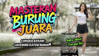 MASTERAN  BURUNG NEMBAK TAJAM KASAR + TERAPI AIR