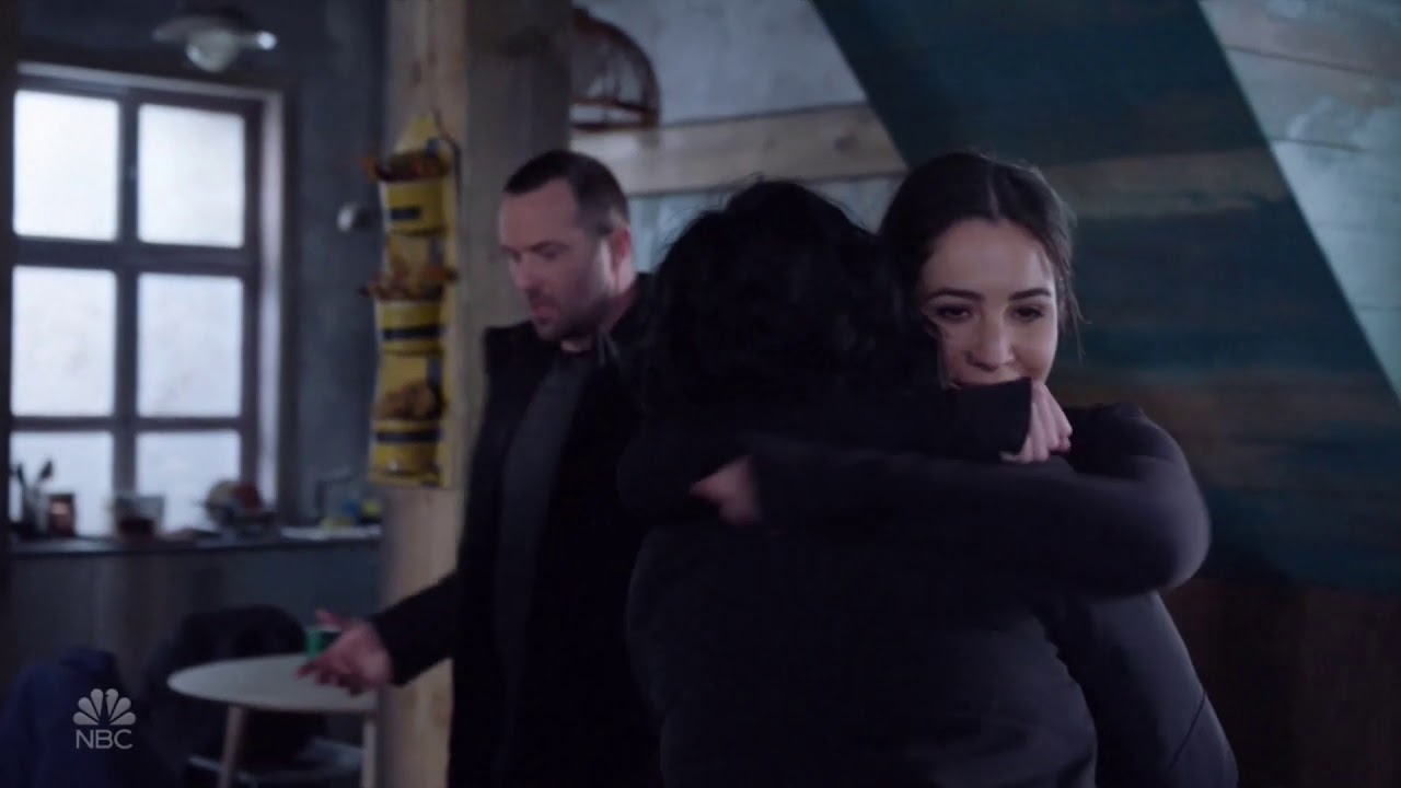 Blindspot 4x22 ''Somehow I fell in the only bush in Iceland''