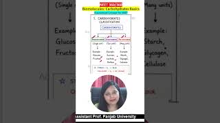 Types of Carbohydrates | NEET Concept @acepathshalaneetbiology #neetbiology #neet