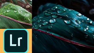 3 minutes easy tutorial of leaf editing in lightroom | Simple edit of leaves with water drops on it screenshot 4