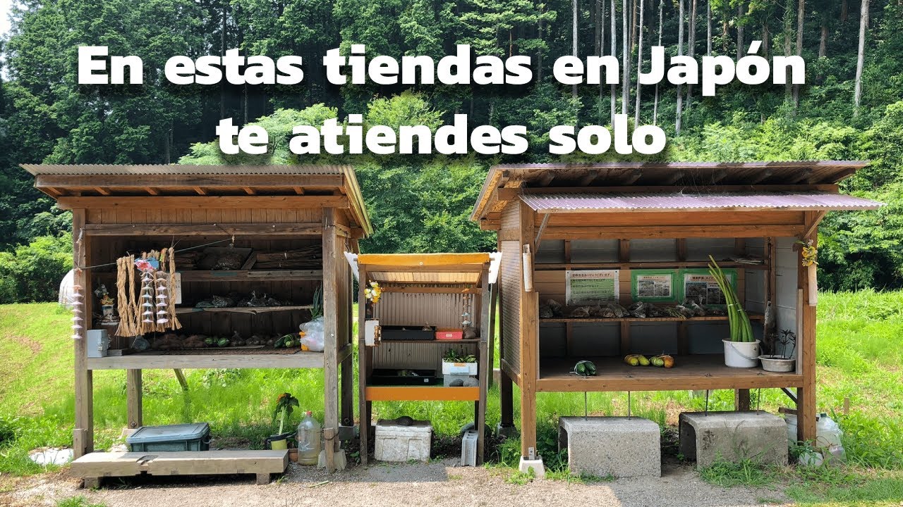 Tiendas sin VENDEDORES en JAPON - Mujin Hanbai