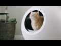 Product Spotlight | Circle Zero: Zero Odor Self Cleaning Litter Box