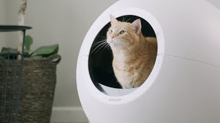 Product Spotlight | Circle Zero: Zero Odor Self Cleaning Litter Box