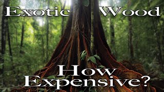 10 most expensive & rare exotic wood species?