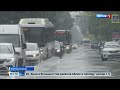 В ближайшие дни в Ростовской области ожидают сильные дожди с градом и порывистым ветром