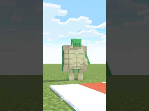 Turtle vs Rabbit Be Like 💀