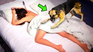 She Sleeps With Her Dog Every Night. 3 Months Later, She Discovers Something Horrible! by UNITY 82,013 views 8 days ago 19 minutes