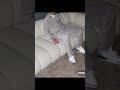 FREE L Haine X Tarchi Jersey Club Type Beat Marlo Beats Typebeat Stickymatypebeat FREE L Haine X Tarchi Jersey Club Type Beat Marlo Beats Typebeat Stickymatypebeat
