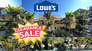 🌻 LOWE'S GARDEN CENTER CLEARANCE #LOWESPLANTS #WINDOWSHOPPER22