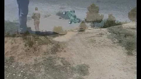 Associated T4 FT La lechuga