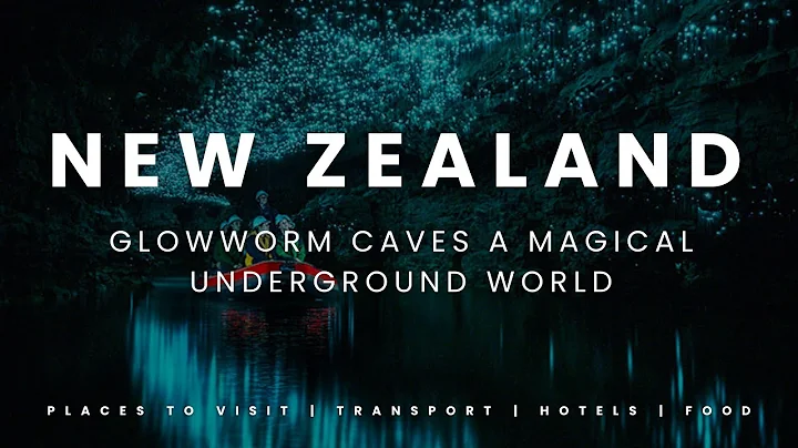 New Zealand’s Glowworm Caves – A Magical Underground World
