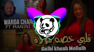 Dj Pandaremix Cheba Warda Galbi Khasah Molah 2023