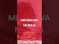 Rokavolta - #1 (Official Lyric Video)