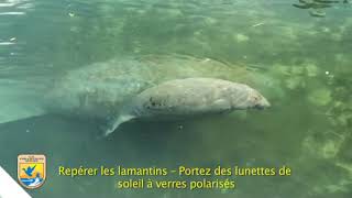 FRENCH: BOATERS - CRYSTAL RIVER NATIONAL WILDLIFE REFUGE'S "MANATEE MANNERS"