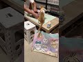 ねこ３匹とワンピースパズル生放送
