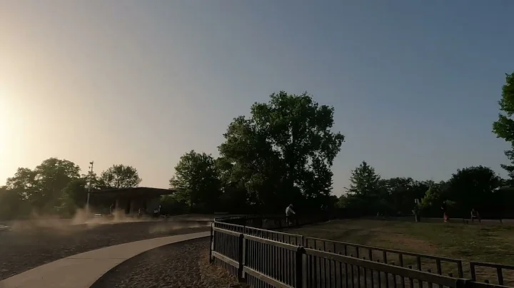 Whippets and Greyhound Running at the Park